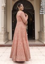 Eba Parisha Fancy Traditional Georgette Designer Stitched Gown Collection