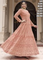 Eba Parisha Fancy Traditional Georgette Designer Stitched Gown Collection