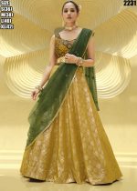 Present Chinnon Silk Stitched Embroidery Lehenga Choli Collection.
