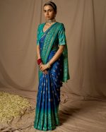 Step Into A World Of Grace And Elegance With Our Exquisite Soft Brasso Silk Sarees