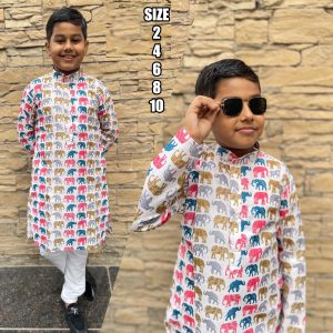 Ethnicrang Kids Wear Ethnic Traditional Stitched Printed Kurta With Pajama