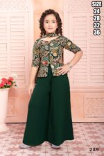 Designer Kid's Wear Georgette And Soft Net With Embroidered Work Functional Outfits.