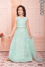 Designer Kid's Wear Georgette And Soft Net With Embroidered Work Functional Outfits.