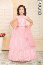 Designer Kid's Wear Georgette And Soft Net With Embroidered Work Functional Outfits.