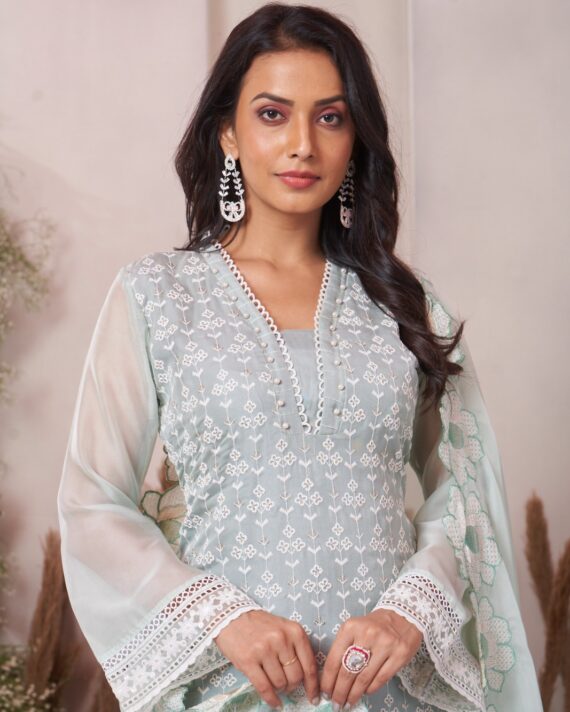 Beautiful Shifli Worked Organza With Cotton Lining Straight Kurti Set For Functions