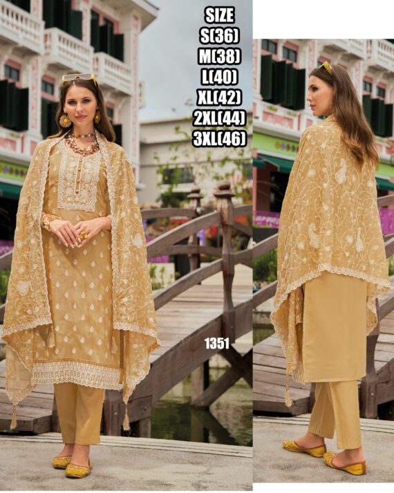 This Organza Kurti Sets Can Be Worn During The Festive Season For Women