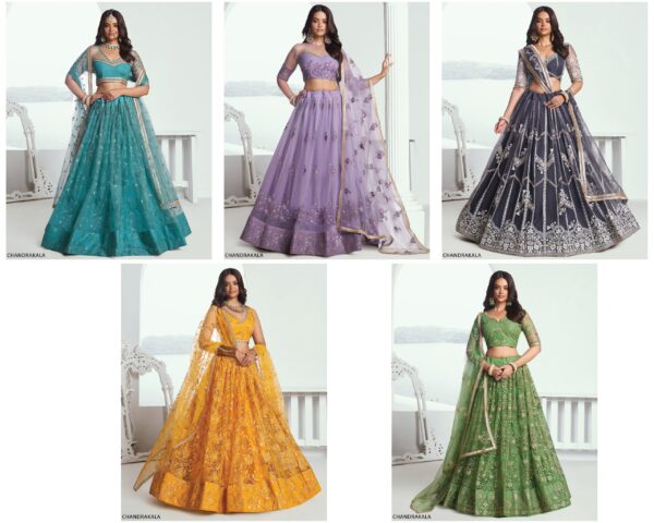 A Modern Yet Traditional Look The Butterfly Net Lehenga Choli Is Usually Can Wear At Weddings And Sangeet Function