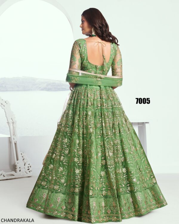 A Modern Yet Traditional Look The Butterfly Net Lehenga Choli Is Usually Can Wear At Weddings And Sangeet Function