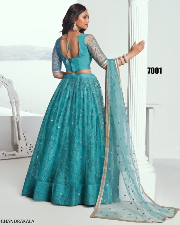 A Modern Yet Traditional Look The Butterfly Net Lehenga Choli Is Usually Can Wear At Weddings And Sangeet Function