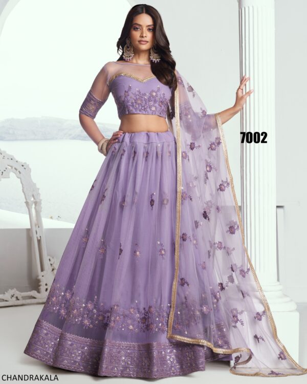 A Modern Yet Traditional Look The Butterfly Net Lehenga Choli Is Usually Can Wear At Weddings And Sangeet Function