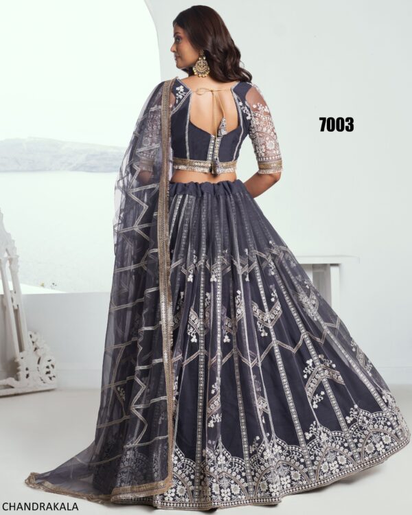 A Modern Yet Traditional Look The Butterfly Net Lehenga Choli Is Usually Can Wear At Weddings And Sangeet Function