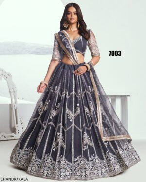 A Modern Yet Traditional Look The Butterfly Net Lehenga Choli Is Usually Can Wear At Weddings And Sangeet Function