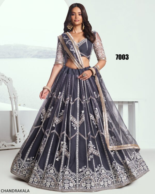 A Modern Yet Traditional Look The Butterfly Net Lehenga Choli Is Usually Can Wear At Weddings And Sangeet Function