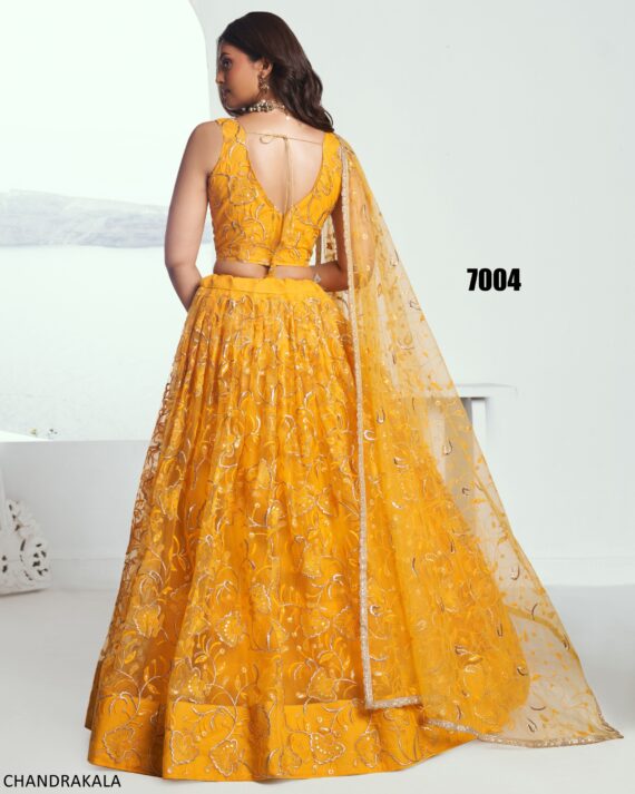A Modern Yet Traditional Look The Butterfly Net Lehenga Choli Is Usually Can Wear At Weddings And Sangeet Function