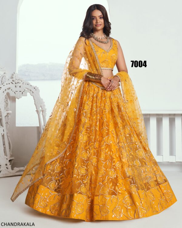 A Modern Yet Traditional Look The Butterfly Net Lehenga Choli Is Usually Can Wear At Weddings And Sangeet Function