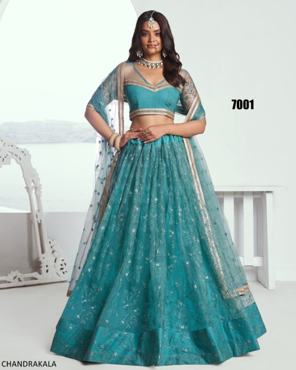 A Modern Yet Traditional Look The Butterfly Net Lehenga Choli Is Usually Can Wear At Weddings And Sangeet Function