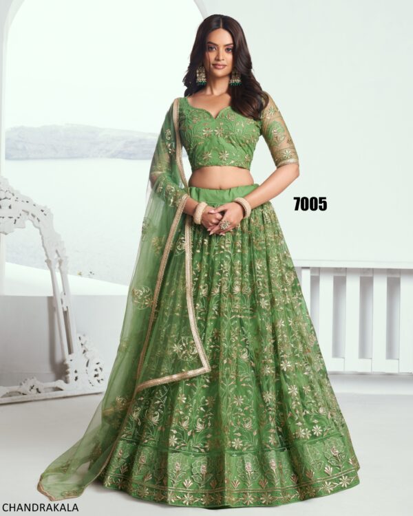 A Modern Yet Traditional Look The Butterfly Net Lehenga Choli Is Usually Can Wear At Weddings And Sangeet Function