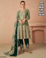 Intricate Embroidery Party Wear Chinon Salwar Kameez Suits In Our New Collection 2024