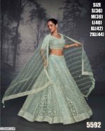 Shop The Latest Bride Lehenga And Choli For Wedding Reception With Different Patterns