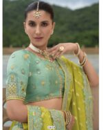 Buy Online The Hottest Collection Of Wedding Bridal Special Lehenga Choli Sets At Ethnicrang