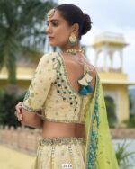 Buy Online The Hottest Collection Of Wedding Bridal Special Lehenga Choli Sets At Ethnicrang