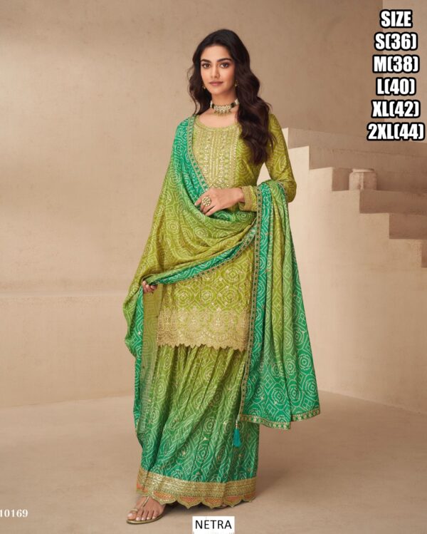 Our New Trending Collection Of Indian And Pakistani Salwar Kameez In Festive Wear Outfits