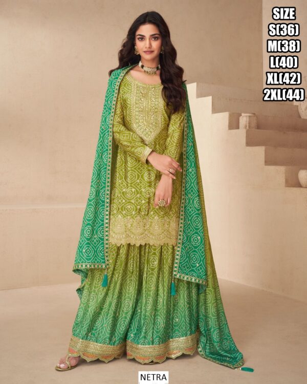 Our New Trending Collection Of Indian And Pakistani Salwar Kameez In Festive Wear Outfits