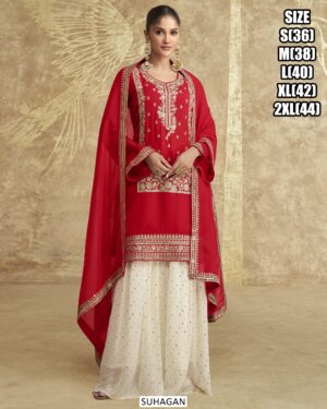 WhatsApp Image 2025-02-12 at 9.40.00 AM (1)