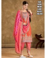 Perfect Punjabi Vibes Suit Set With Dupatta For Festivals And Weddings