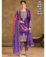 Perfect Punjabi Vibes Suit Set With Dupatta For Festivals And Weddings
