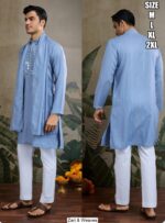 Presenting Beautiful Mirror Worked Only Kurta Dupatta Sets For Men