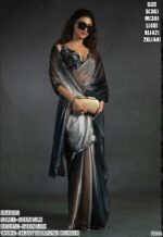 We Presents You With The Collection Of Satin Silk Shining Sarees At The Best Price