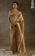 Make Your Look Unique In Parties By Opting For This Zarkan Worked Banarasi Silk Sarees