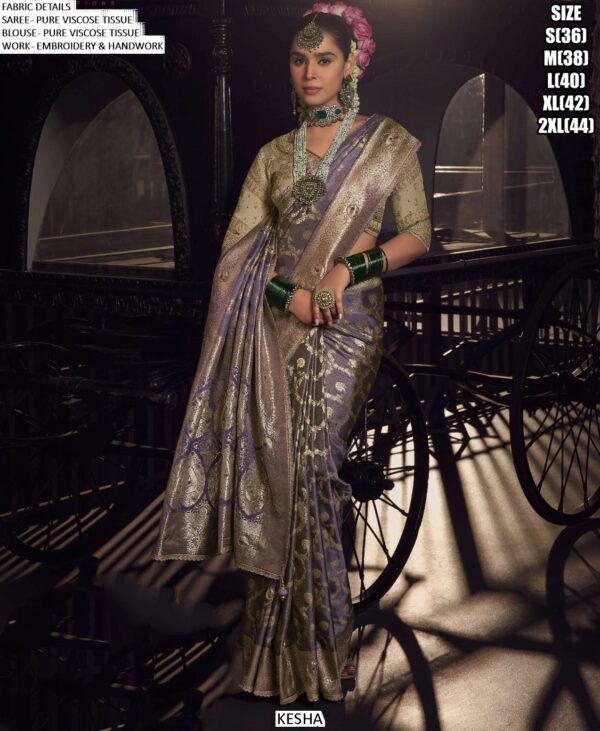 Buy The Latest Collection Of Traditional Sarees Online On Ethnicrang And Make Every Festival Special