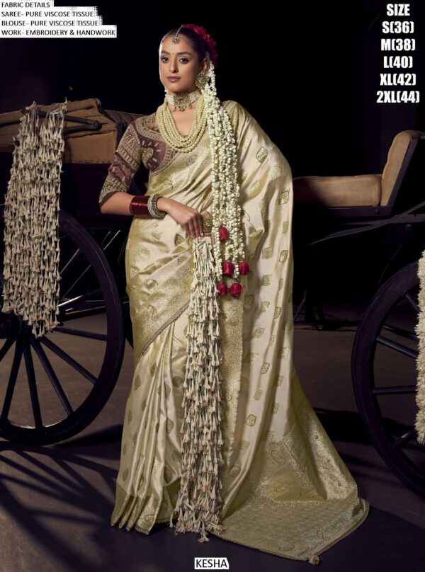 Buy The Latest Collection Of Traditional Sarees Online On Ethnicrang And Make Every Festival Special