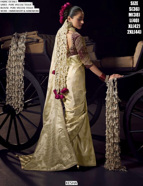 Buy The Latest Collection Of Traditional Sarees Online On Ethnicrang And Make Every Festival Special