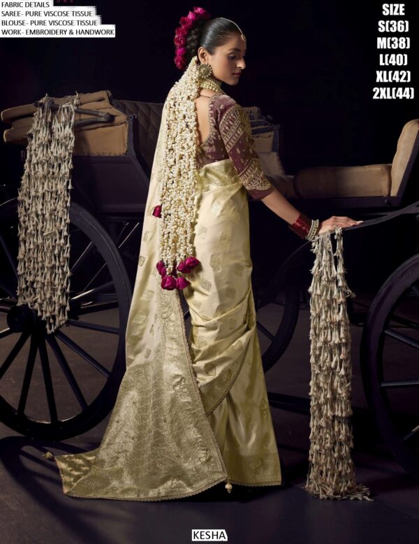 Buy The Latest Collection Of Traditional Sarees Online On Ethnicrang And Make Every Festival Special