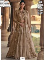 Introducing New Collection Of Trending Designs And Styles Wedding Outfits For Women