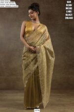 Experience The Enchanting Charm Of Our Partywear Pure Organza Saree Collection