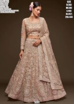 New Wedding Attire! Heavy Embroidered Semi-Stitched Bridal Lehenga Choli