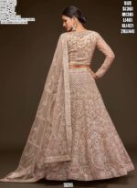 New Wedding Attire! Heavy Embroidered Semi-Stitched Bridal Lehenga Choli