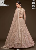 New Wedding Attire! Heavy Embroidered Semi-Stitched Bridal Lehenga Choli
