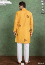 New Super Trending Designer Festival Wear Only Kurtas For Men