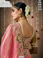 Make A Graceful Bridal Statement With This Tissue Dola Silk Saree With Designer Blouse