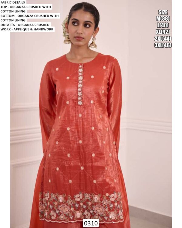 Shiny Organza Crushed Applique And Hand Worked Ready To Wear Salwar Kameez