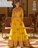 Readymade Georgette Modern Stylish Wedding Look Lehenga Style Indo-Western Dress