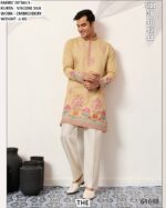 Step Out In Style With This Beautiful Embroidery Designer Viscose Silk Stylish Kurtas