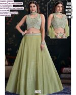 Step Into 2026 Fashion With This Royal Styles Of Women's Indo-Western Outfit Collection