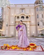 Pure Ho Silk Heavy Thread And Sequins Embroidered Wedding Wear Saree And Designer Blouse