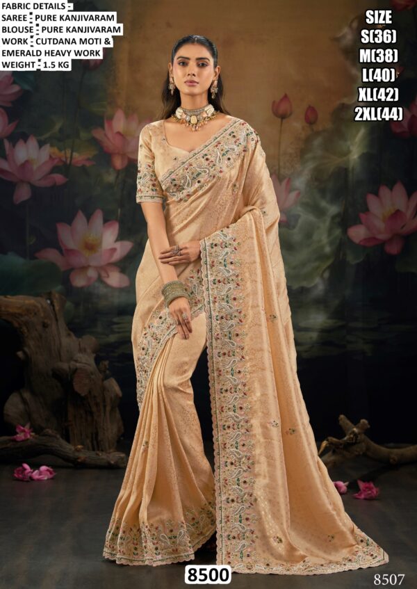 Premium Women’s Saree Collection